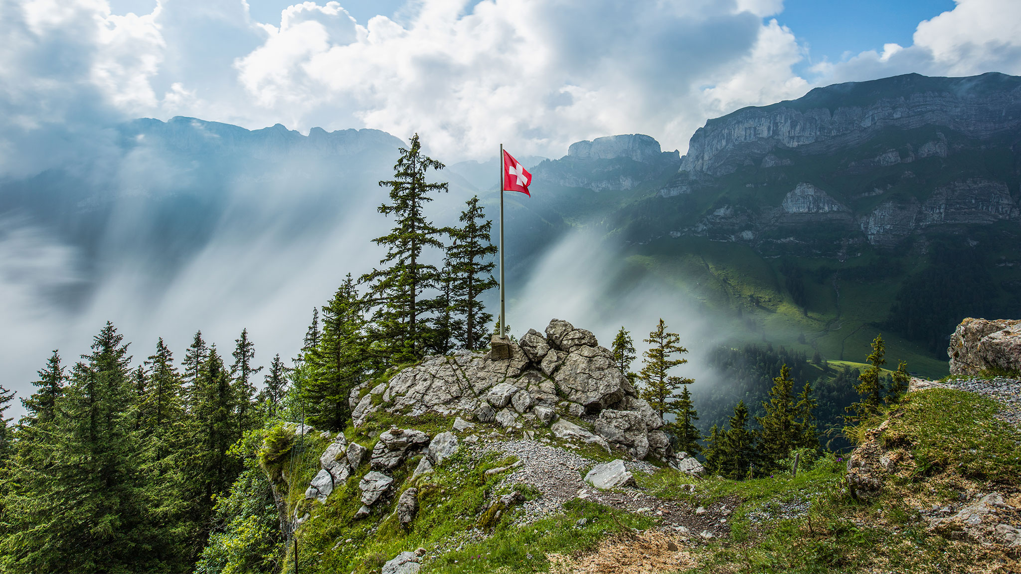 Vontobel’s Schweizer Aktienfavoriten («Top Picks») für das Jahr 2026