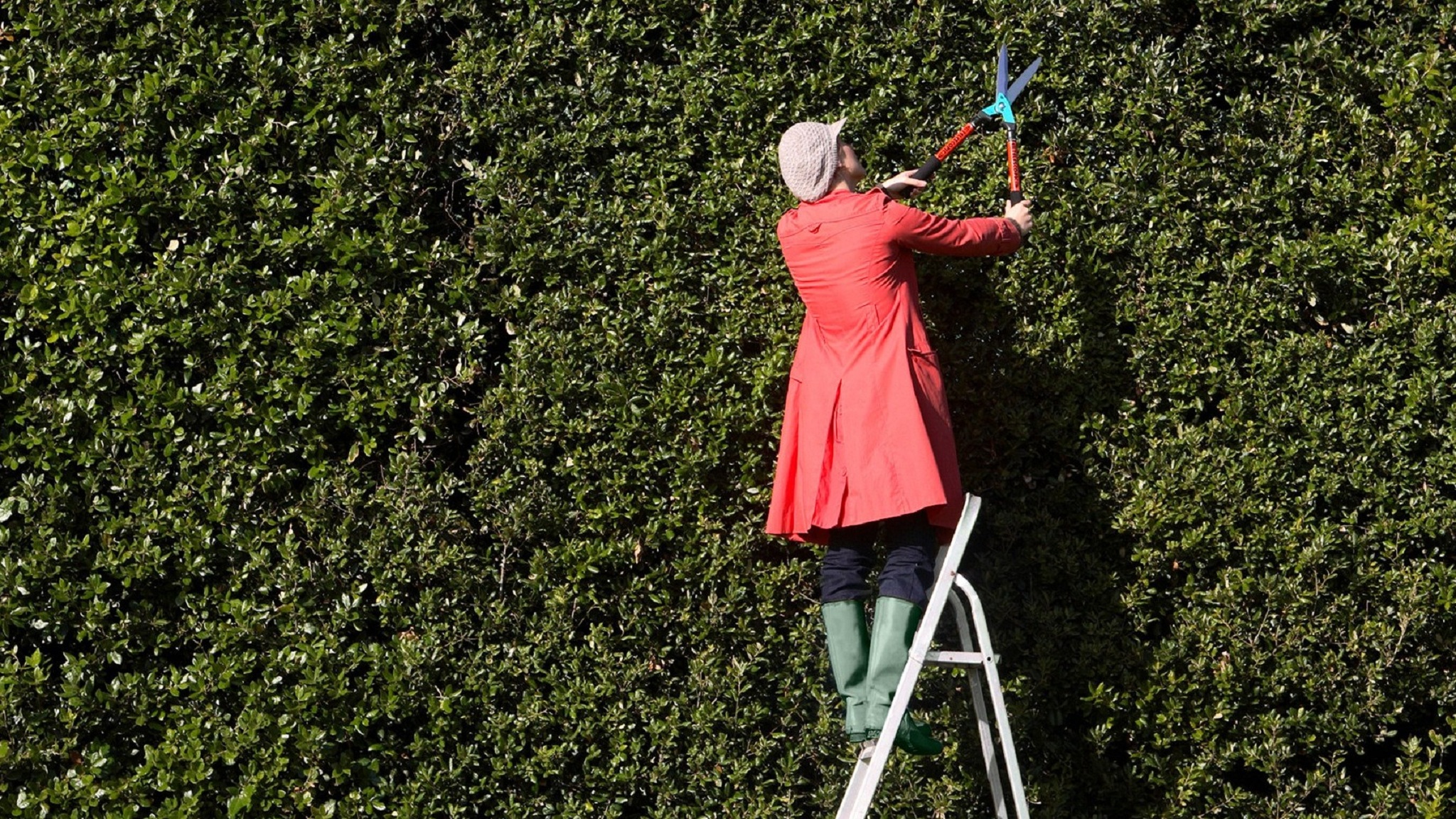 Investors’ Outlook: Ein Rückschnitt am Markt