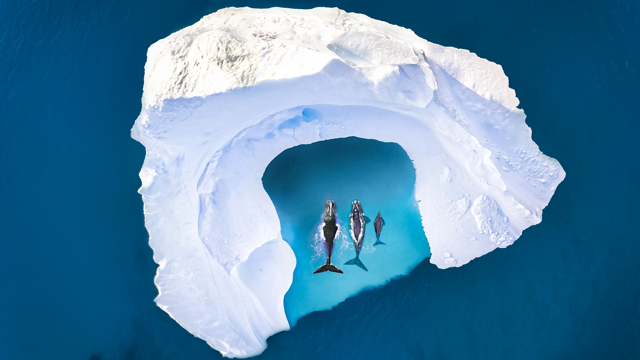 Defensive Strukturen für turbulente Marktphasen