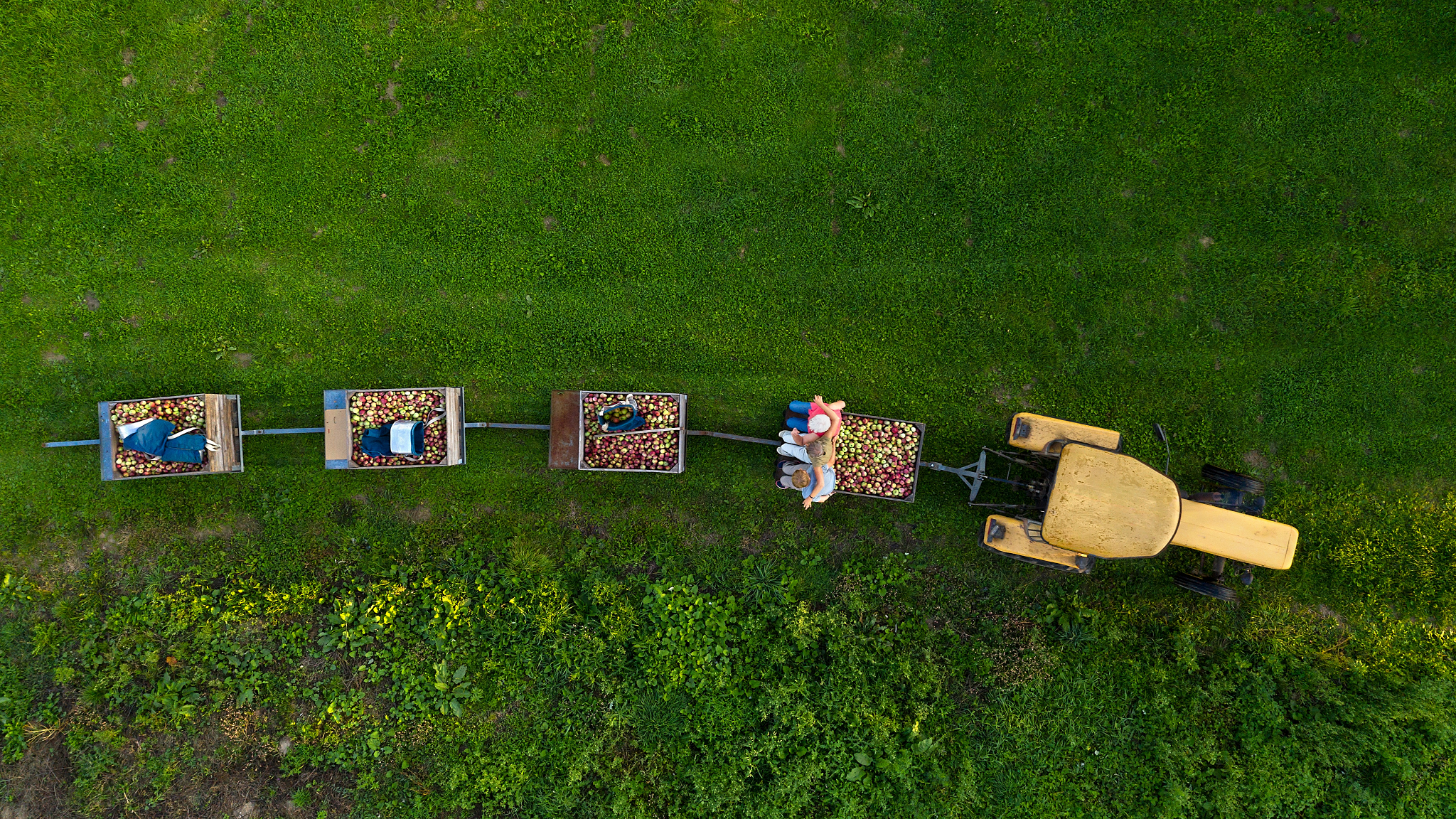 Rohstoffmärkte im Wirbelwind der Weltpolitik