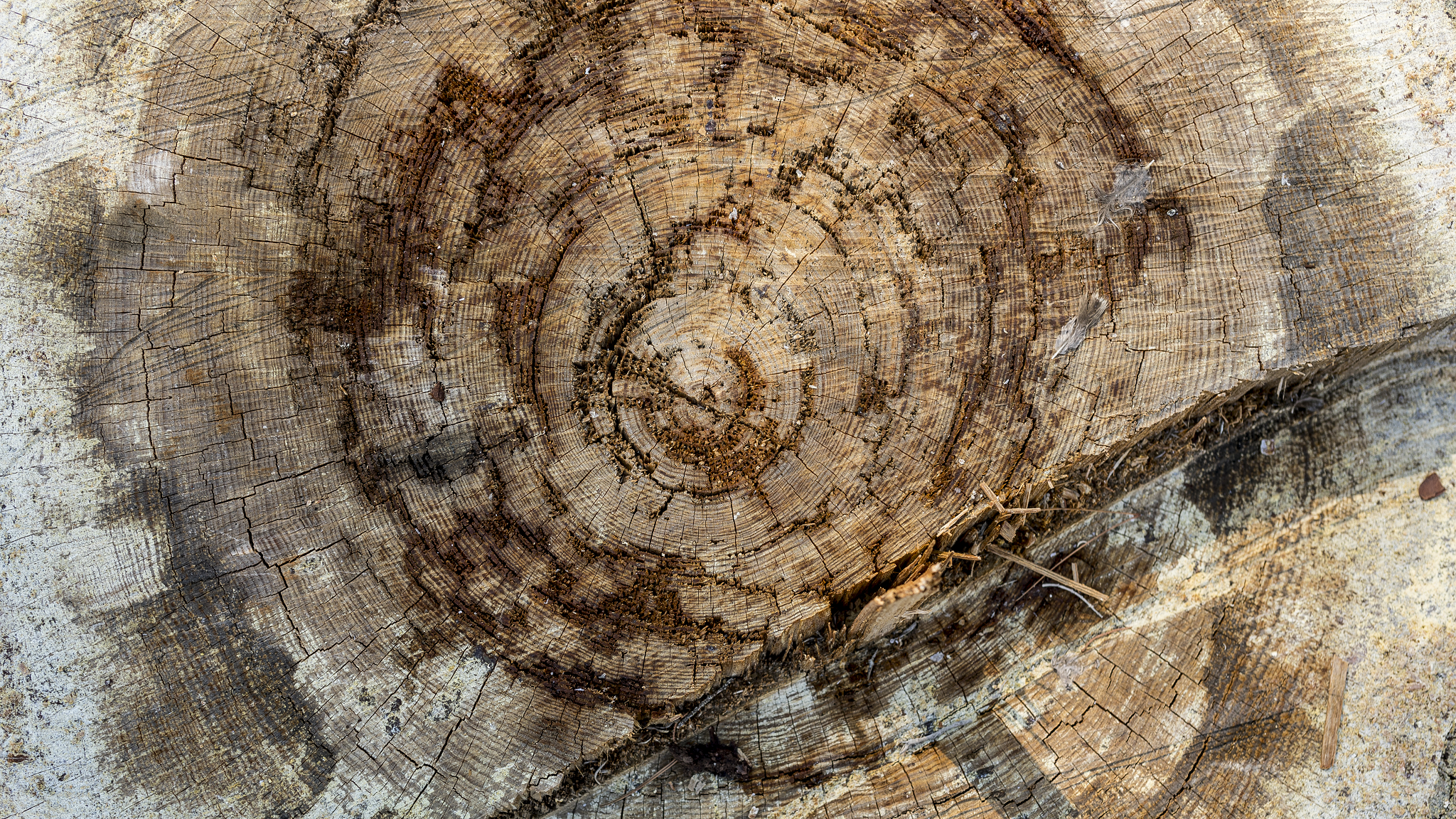 Rohstoffmärkte starten fulminant ins neue Jahr